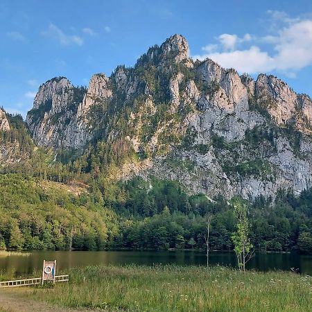 Neues Traunsee Apartment Altmünster Εξωτερικό φωτογραφία