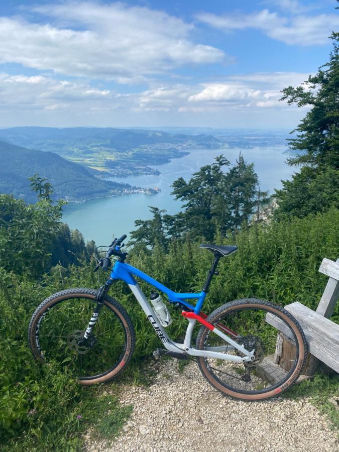 Neues Traunsee Apartment Altmünster Εξωτερικό φωτογραφία